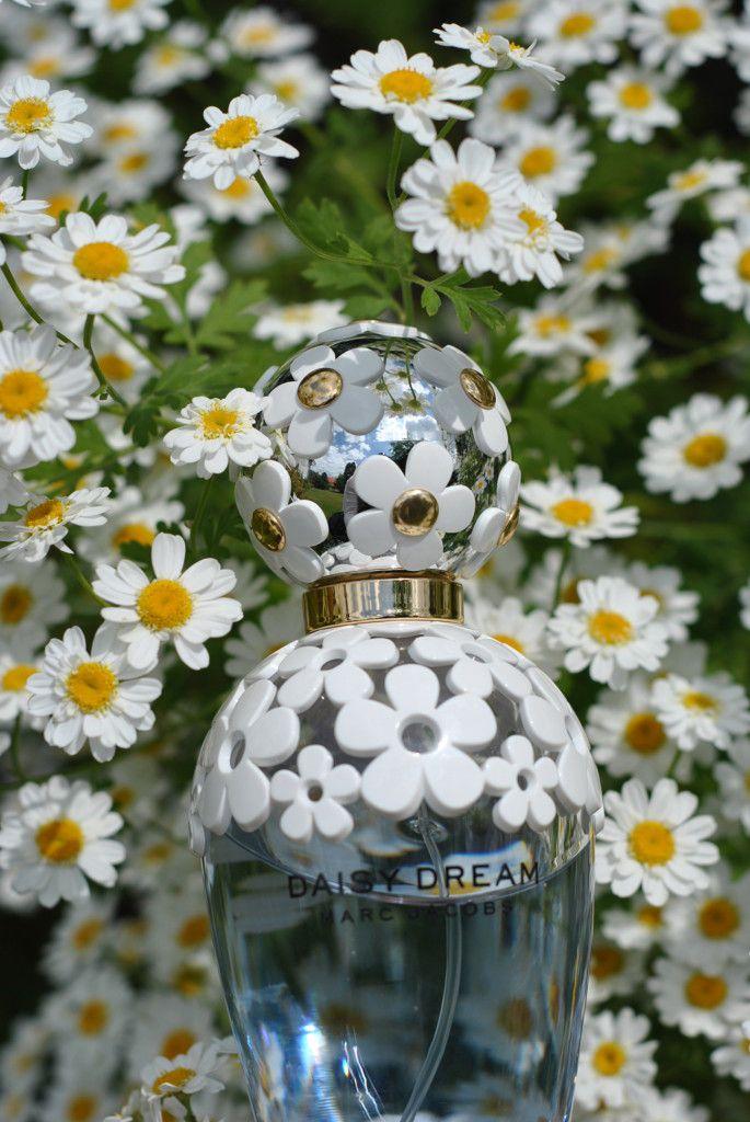 Daisy Dream perfumy